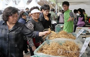 6년근인삼가격1