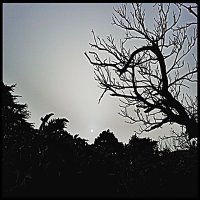 제휴없는웹하드3