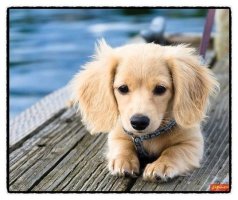 로또당첨번호발표시간4