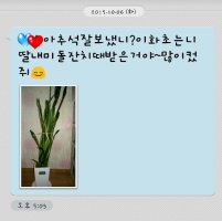 여자아기돌선물1