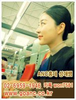 승무원자기소개서2