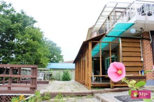 남이섬가족펜션3