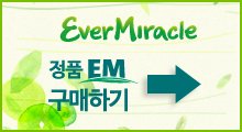 에버미라클5