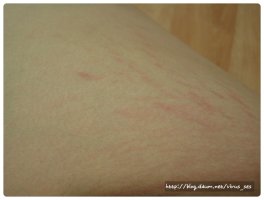 프라젠트라튼살크림2