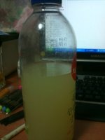 레몬수다이어트4