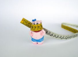 영문자기소개서샘플2