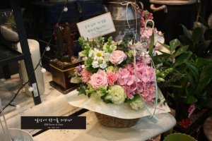 도봉동산부인과1