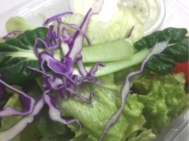 점심도시락배달4