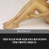 종아리살1