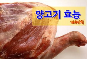 [양고기 효능] 의사들이 자주 권하는 양고기