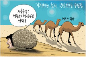 만평으로 보는 메르스 바이러스