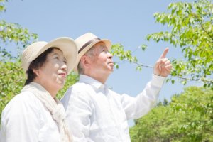 꽃보다 아름다운 노년 위한 안티에이징 시술