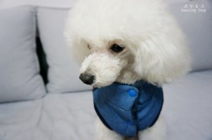 강아지패딩만들기1