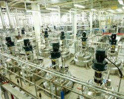 정관장홍삼농축액5