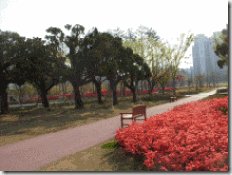 학업계획서예문3