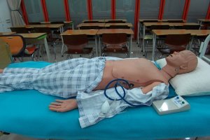 심폐소생술모형2