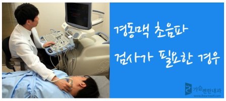 경동맥초음파4
