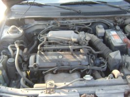 부산중고차폐차2