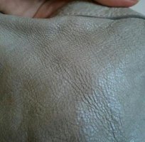 지방시나이팅게일2