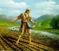 오늘의 복음(마르코4.120) 씨 뿌리는 사람의 비유
