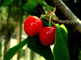 연회비없는신용카드3