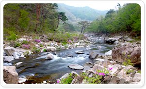 무주구천동2