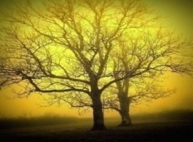 앵그리버드노래4