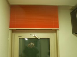 플리티드쉐이드5