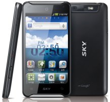 베가레이서공동구매1