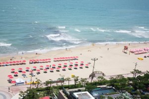 팔레드시즈콘도2