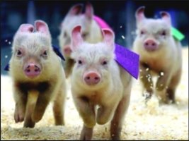 로또491회당첨번호1