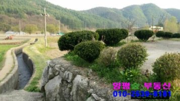 양평전원주택매물3